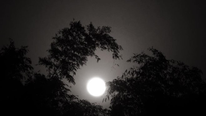 Dân mạng đồng loạt chia sẻ ảnh siêu trăng tại Việt Nam hình ảnh 2 Dan mang dong loat chia se anh sieu trang tai Viet Nam hinh anh 2