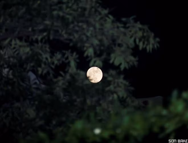 Dan mang dong loat chia se anh sieu trang tai Viet Nam hinh anh 5