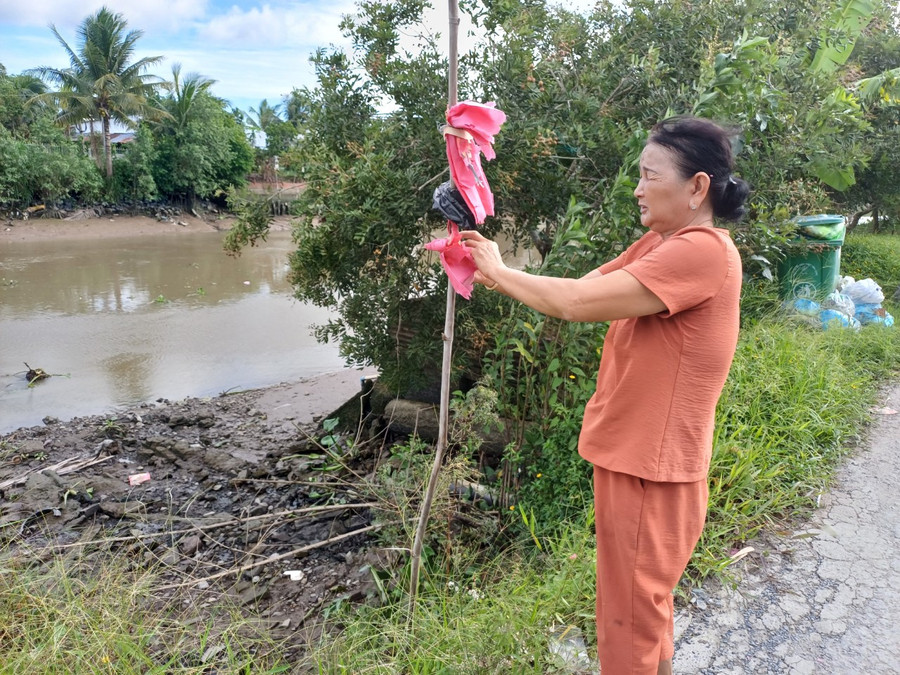 Bà Nguyễn Thị Đẹp cắm cây cảnh báo.