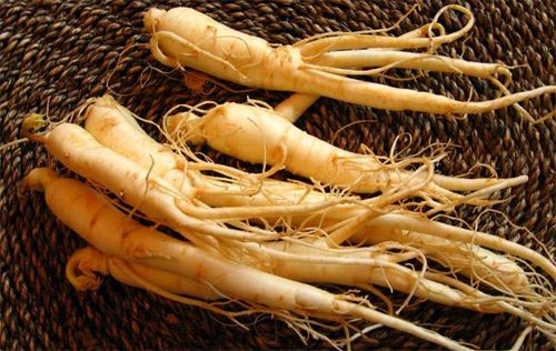 Stress,Nguyên nhân bệnh Stress,Điều trị bệnh Stress Stress,Nguyên nhân bệnh Stress,Điều trị bệnh Stress