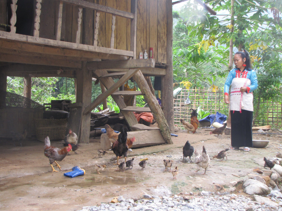 Nhiều hộ gia đình chú trọng phát triển chăn nuôi gắn với trồng trọt