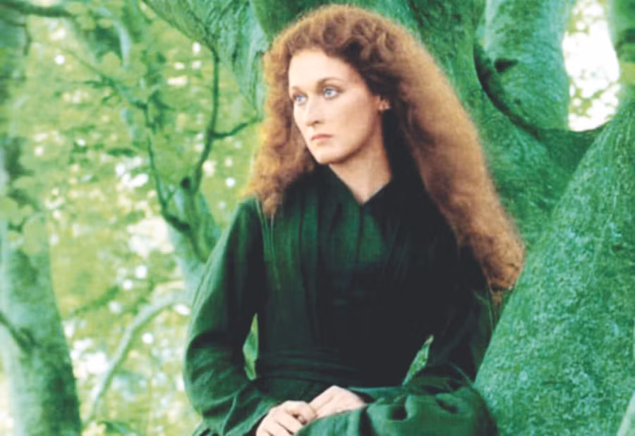 Meryl Streep thời trẻ.