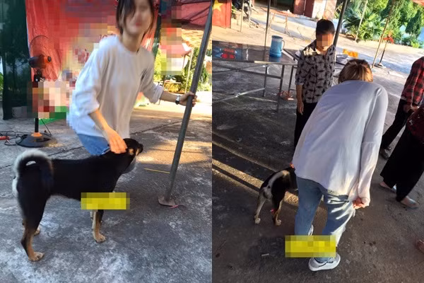 Cô dâu đón "boss" đi cùng.