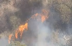 Cháy rừng tại Australia.