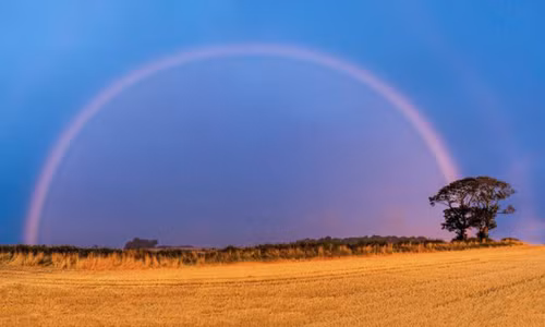 Cầu vồng hồng xuất hiện lúc bình minh ở Scotland. Ảnh: Sinclair Cunningham.