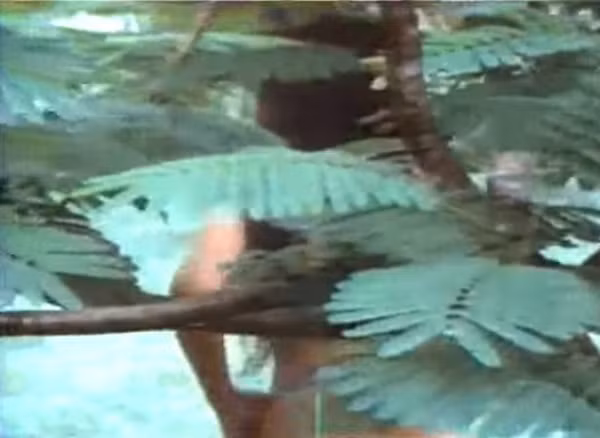 Ngọc Trinh hay Lý Nhã Kỳ cũng không bằng Thẩm Thúy Hằng . ảnh 9