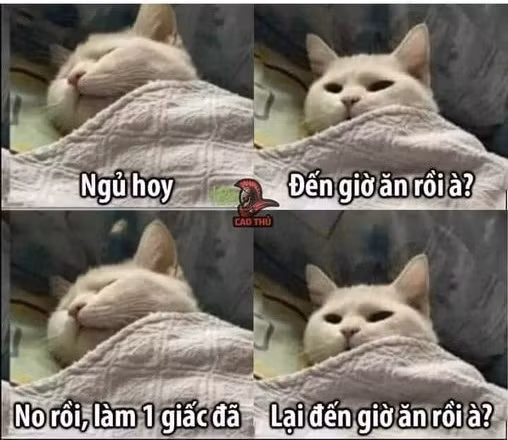 Tôi của mùa dịch...