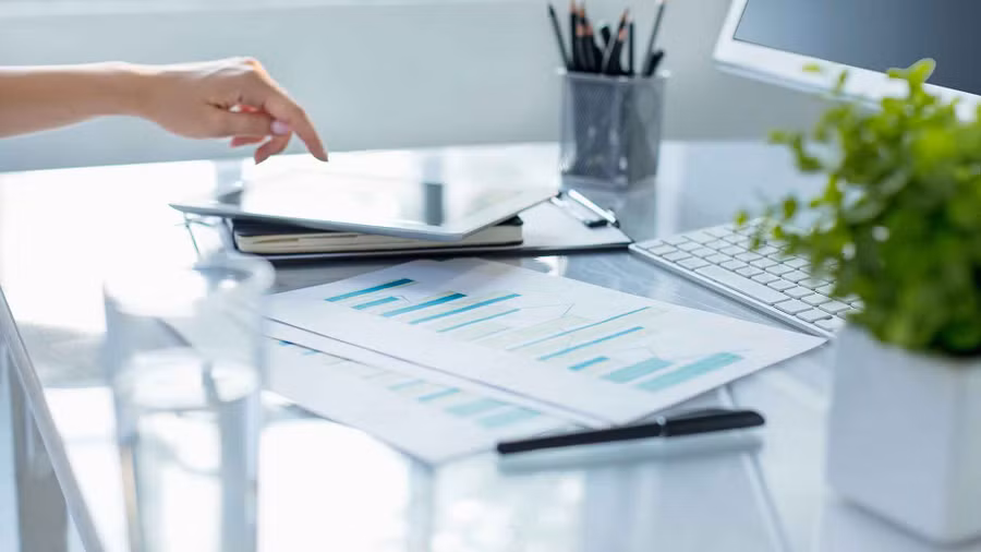 Để chọn loại cây hoàn hảo cho văn phòng, trước tiên bạn phải đánh giá lượng ánh sáng mà không gian nhận được. (Ảnh: ITN).