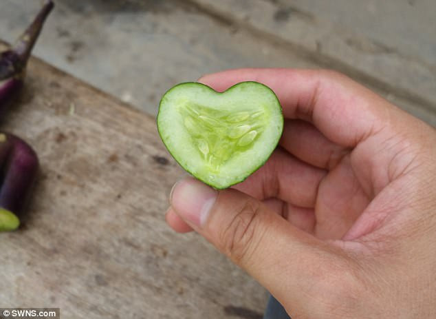Những loại quả mang dáng hình kỳ lạ tưởng chỉ có trong cổ tích - Ảnh 12. Những loại quả mang dáng hình kỳ lạ tưởng chỉ có trong cổ tích - Ảnh 12.