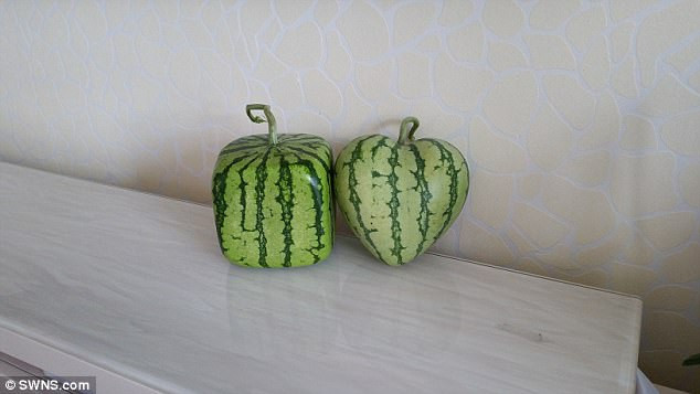 Những loại quả mang dáng hình kỳ lạ tưởng chỉ có trong cổ tích - Ảnh 1. Những loại quả mang dáng hình kỳ lạ tưởng chỉ có trong cổ tích - Ảnh 1.