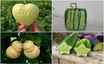 Những loại quả mang dáng hình kỳ lạ tưởng chỉ có trong cổ tích 