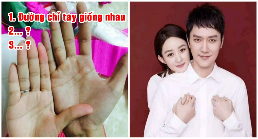 VN_15c03a704b8b910319cd8732t093fcdf4