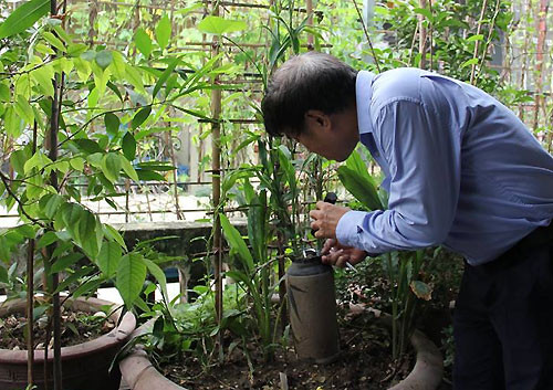 lam-gi-de-ca-nha-khoe-manh-trong-ky-nghi-le-dinh-dich-sot-xuat-huyet