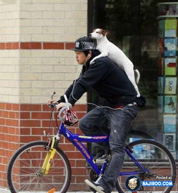 “Boss” ơi mình đi đâu thế? ảnh 18