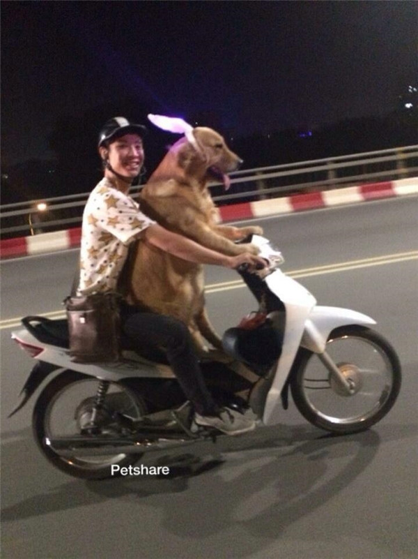 “Boss” ơi mình đi đâu thế? ảnh 19