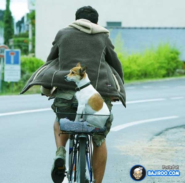 “Boss” ơi mình đi đâu thế? ảnh 13