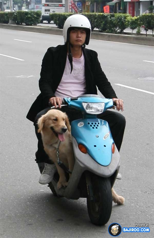 “Boss” ơi mình đi đâu thế? ảnh 14