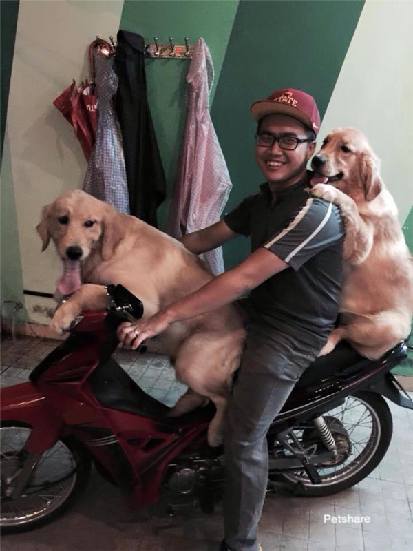 “Boss” ơi mình đi đâu thế? ảnh 5