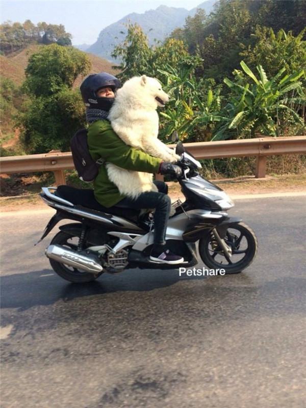 “Boss” ơi mình đi đâu thế? ảnh 20