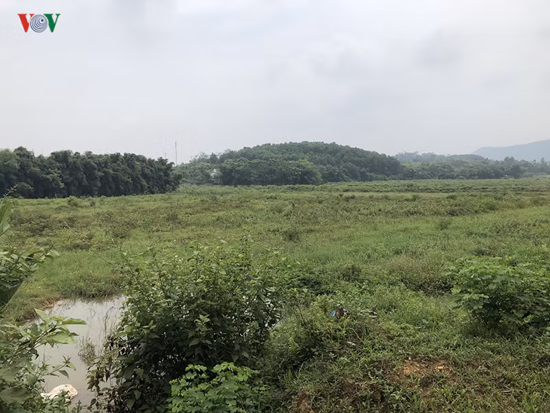 anh: hai khu dat bi thu hoi so do cua nguoi nha giam doc so kh-dt ha noi hinh 8