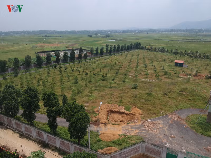 anh: hai khu dat bi thu hoi so do cua nguoi nha giam doc so kh-dt ha noi hinh 11