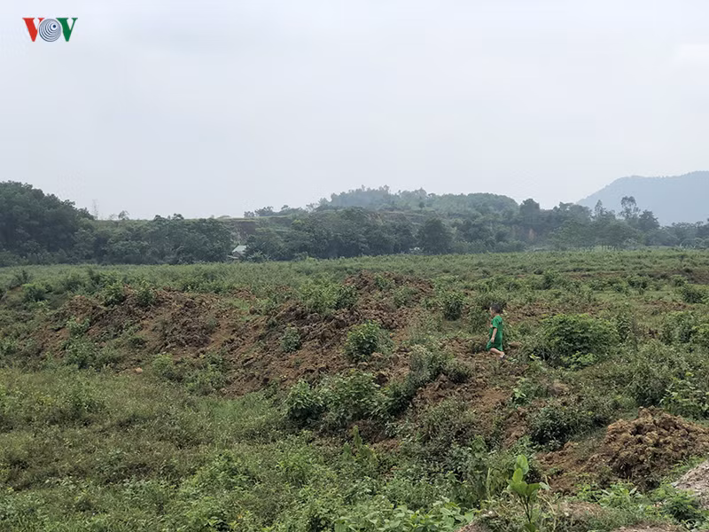 anh: hai khu dat bi thu hoi so do cua nguoi nha giam doc so kh-dt ha noi hinh 7