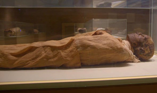 Phát hiện rùng rợn về cái chết của pharaoh Ai Cập ảnh 1 Phát hiện rùng rợn về cái chết của pharaoh Ai Cập ảnh 1