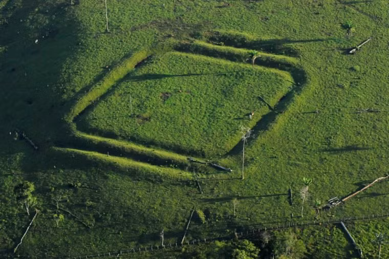 nhung bi an khung khiep trong rung ram amazon hinh anh 3