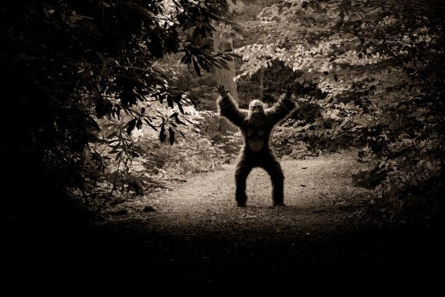 nhung bi an khung khiep trong rung ram amazon hinh anh 2