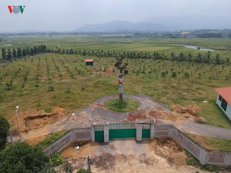 anh: hai khu dat bi thu hoi so do cua nguoi nha giam doc so kh-dt ha noi hinh 10