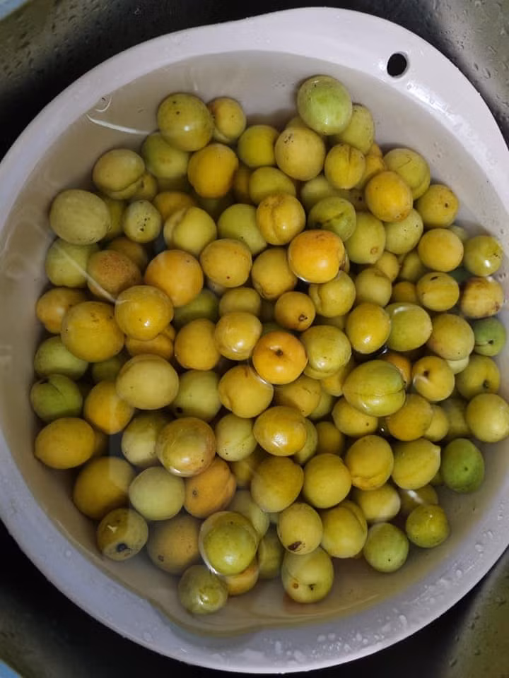 Mơ rửa lại bằng nước muối loãng.