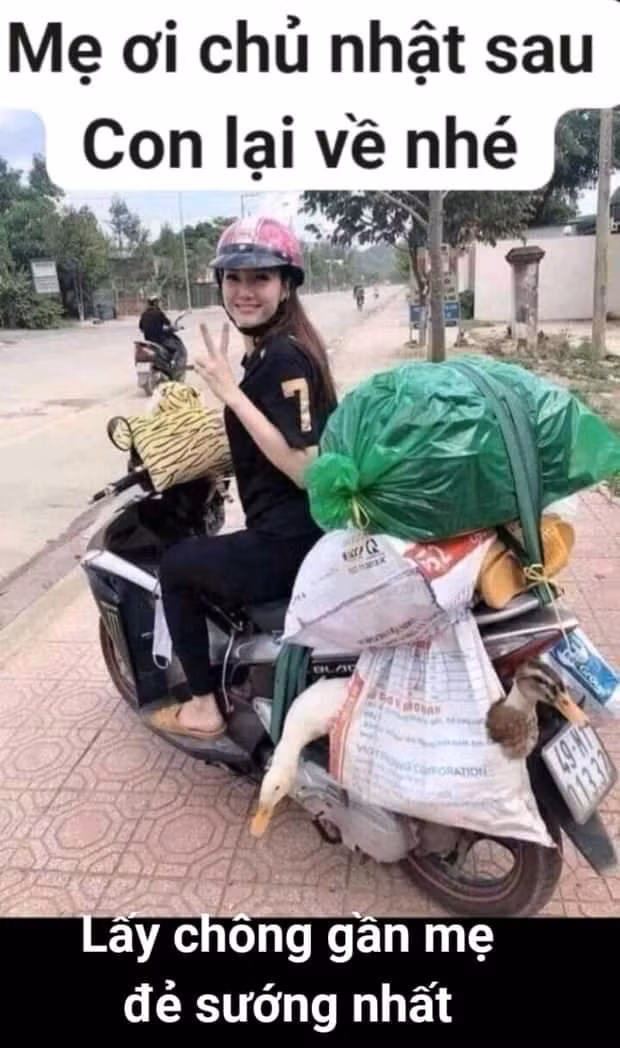 Cười sảng khoái với chùm ảnh siêu hài hước ảnh 5