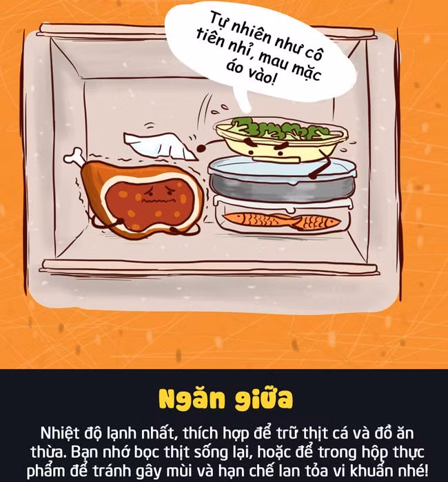 nhung-vi-tri-nen-dat-thuc-pham-trong-tu-lanh-de-duoc-tuoi-ngon-lau-02