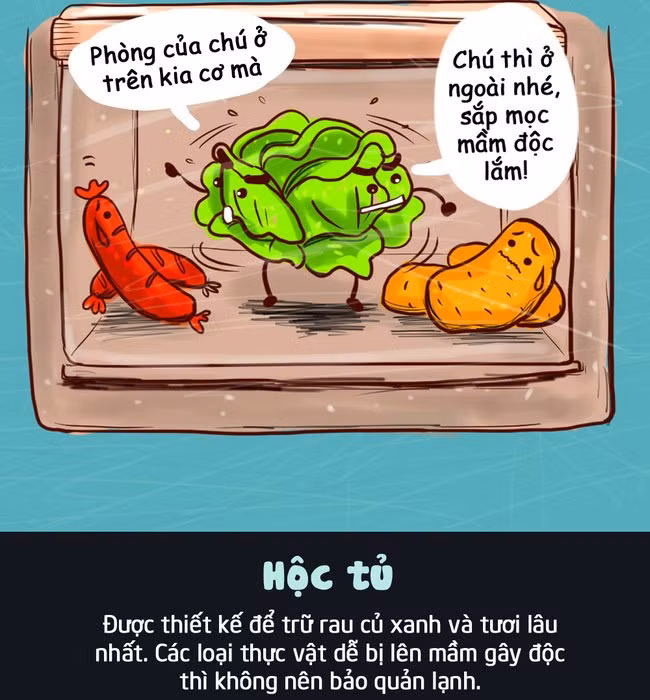 nhung-vi-tri-nen-dat-thuc-pham-trong-tu-lanh-de-duoc-tuoi-ngon-lau-03