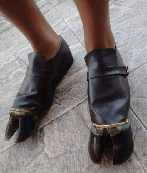 Giày móng ngựa siêu bền và thời trang. Giày móng ngựa siêu bền và thời trang.