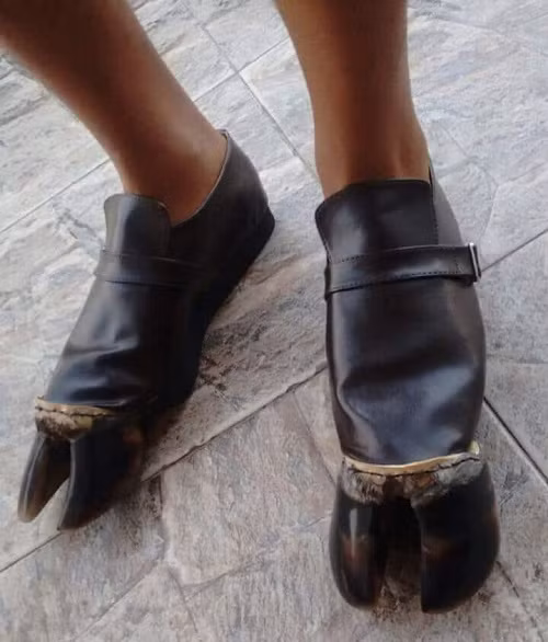 Giày móng ngựa siêu bền và thời trang.