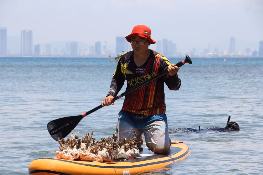 Thành viên “biệt đội” Sasa chở các rạn san hô đem đến các vị trí đã được đánh dấu.