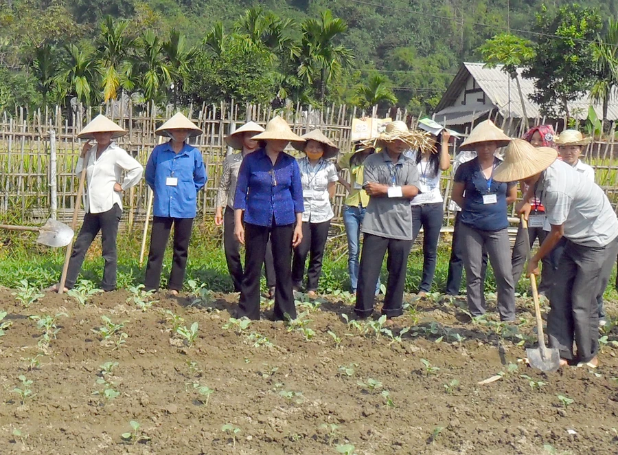 Hỗ trợ đầu tư nông nghiệp ứng dụng công nghệ cao