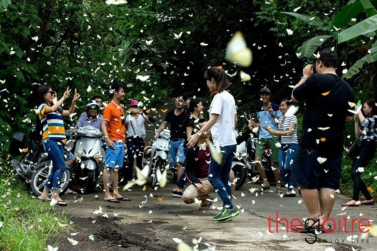 Du khách nhanh tay bấm máy để lưu lại cảnh “hoa thơm bướm lượn” tuyệt đẹp ở Cúc Phương. Du khách nhanh tay bấm máy để lưu lại cảnh “hoa thơm bướm lượn” tuyệt đẹp ở Cúc Phương.