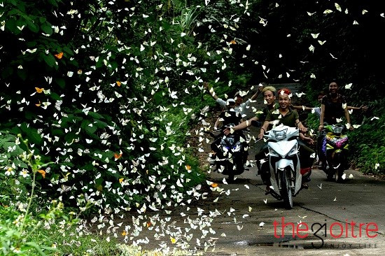 Trên cung đường phượt vô tình bắt gặp hình ảnh tuyệt đẹp này khiến ai cũng tỏ ra thích thú và phấn khởi. Trên cung đường phượt vô tình bắt gặp hình ảnh tuyệt đẹp này khiến ai cũng tỏ ra thích thú và phấn khởi.