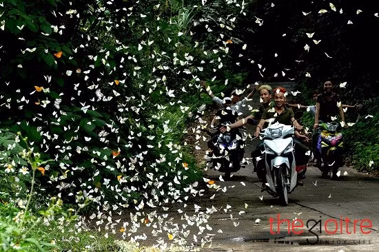 Trên cung đường phượt vô tình bắt gặp hình ảnh tuyệt đẹp này khiến ai cũng tỏ ra thích thú và phấn khởi.