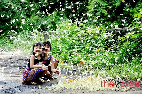 Là người yêu thích thiên nhiên nên trên mỗi hành trình đi qua, nhiếp ảnh gia Phạm Hải luôn muốn chụp lại những cảnh đẹp của Việt Nam. Bộ ảnh “Bướm” của anh cũng đã ghi lại những khoảnh khắc tuyệt đẹp của đàn bướm ven các con đường dẫn vào rừng Cúc Phương. Là người yêu thích thiên nhiên nên trên mỗi hành trình đi qua, nhiếp ảnh gia Phạm Hải luôn muốn chụp lại những cảnh đẹp của Việt Nam. Bộ ảnh “Bướm” của anh cũng đã ghi lại những khoảnh khắc tuyệt đẹp của đàn bướm ven các con đường dẫn vào rừng Cúc Phương.