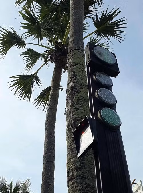 10 ảnh hài hot nhất Facebook trong ngày ảnh 2