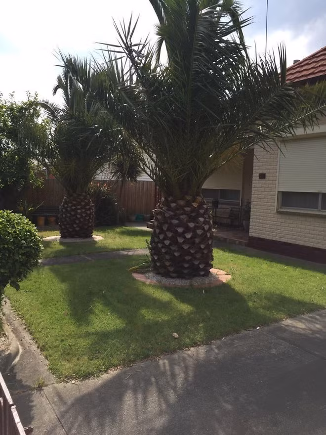 Nhìn qua tưởng đồ ăn nhưng bạn sẽ phải hối hận khi đưa lên miệng - Ảnh 5.