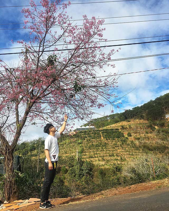 7 con dốc tình Đà Lạt, tạo dáng kiểu gì cũng đẹp xuất sắc ảnh 12 7 con doc tinh da lat cho ra doi 1001 buc hinh, tao dang kieu gi cung dep xuat sac - 13