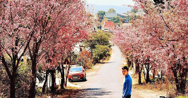 7 con dốc tình Đà Lạt, tạo dáng kiểu gì cũng đẹp xuất sắc ảnh 13 7 con doc tinh da lat cho ra doi 1001 buc hinh, tao dang kieu gi cung dep xuat sac - 14