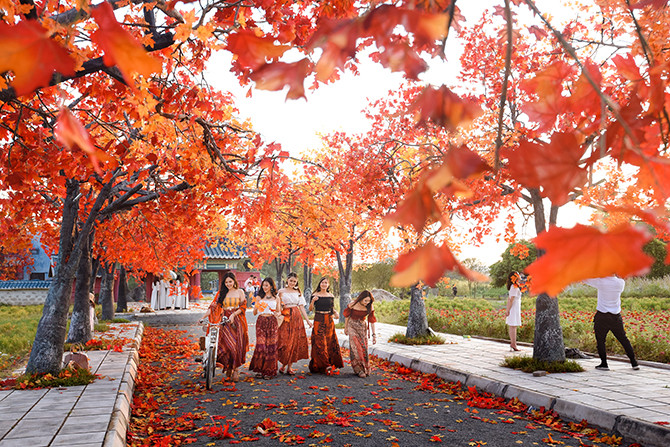 Hàng cây phong lá đỏ lãng mạn xuất hiện tại Hà Nội