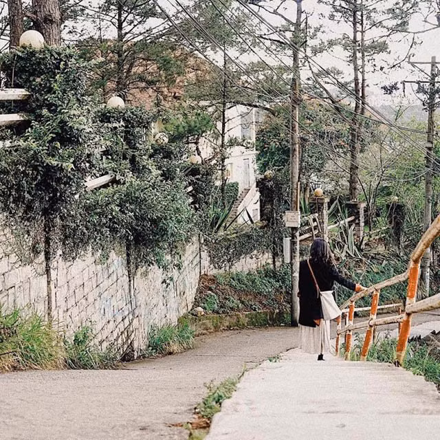 7 con doc tinh da lat cho ra doi 1001 buc hinh, tao dang kieu gi cung dep xuat sac - 10