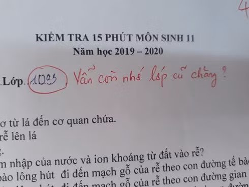 Lời phê của cô giáo gây "bão" mạng xã hội.