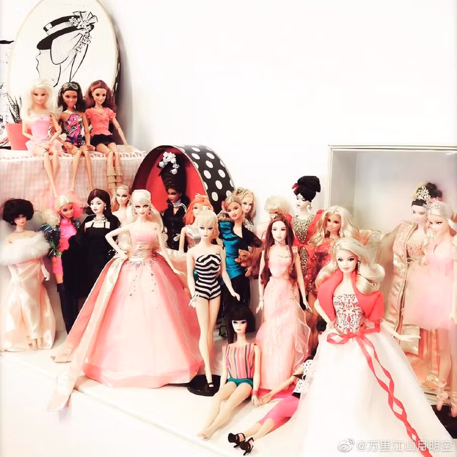 Những bộ sưu tập cực độc, cực hấp dẫn từ bình dân cho tới tiền tỷ của sao Hoa ngữ-9